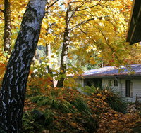 Bogong Village - Hervey Bay Accommodation