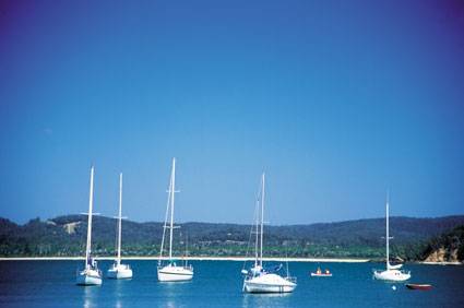 Boydtown Caravan & Camping Park - Hervey Bay Accommodation 2