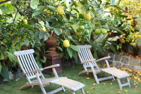 Captains Retreat B&B - Tourism Hervey Bay 1