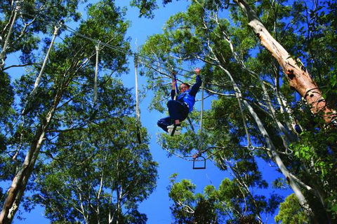Cedar Creek Lodges At Thunderbird Park™ - Hervey Bay Accommodation 2