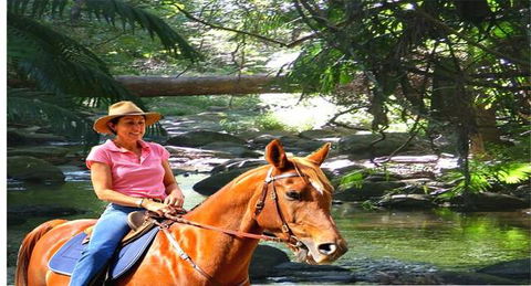 Cedar Creek Lodges At Thunderbird Park™ - Hervey Bay Accommodation 7