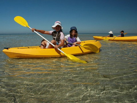 Ceduna Shelly Beach Caravan Park - Hervey Bay Accommodation 4