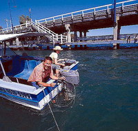Comfort Inn Mandurah - Hervey Bay Accommodation