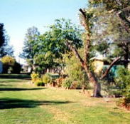 Condamine River Caravan Park - Hervey Bay Accommodation