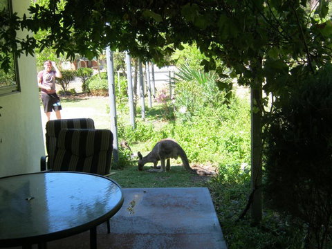 Tim's Place - Hervey Bay Accommodation 2