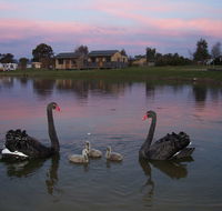 Mansfield Holiday Park - Hervey Bay Accommodation