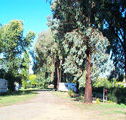 Cudal Caravan Park - Hervey Bay Accommodation