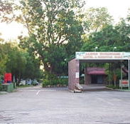Darwin Boomerang Motel  Caravan Park - Hervey Bay Accommodation