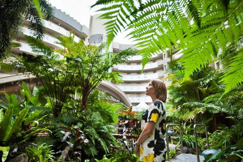Double Tree - Hervey Bay Accommodation 3
