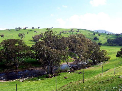 Elm Cottage - Tumut - Hervey Bay Accommodation 4