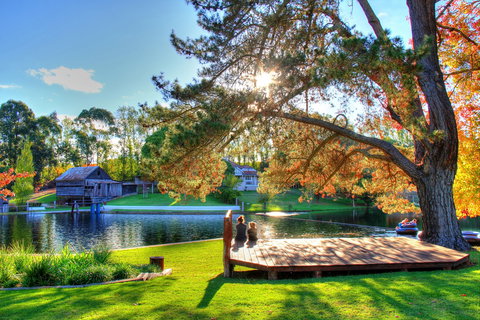 Fontys Pool Caravan Park And Chalets - Hervey Bay Accommodation 2