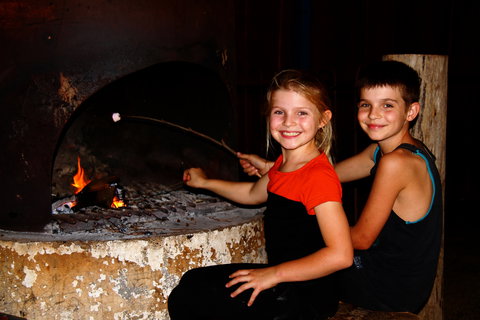 Fontys Pool Caravan Park And Chalets - Hervey Bay Accommodation 5