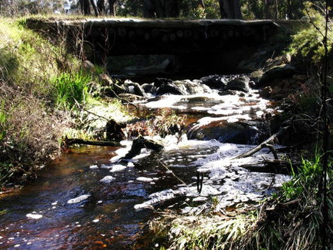 Hidden Grove Retreat - Hervey Bay Accommodation 4