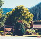 High Country Motor Inn - Hervey Bay Accommodation