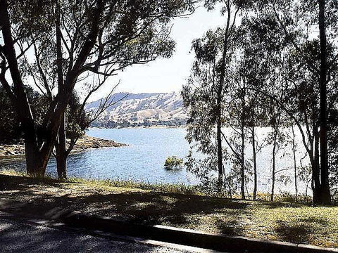 Ibis Styles Albury Lake Hume Resort - Hervey Bay Accommodation 1