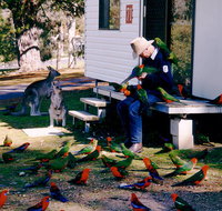 Inland Waters Holiday Parks Burrinjuck - Hervey Bay Accommodation