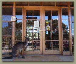 Kangaroo Island Wilderness Retreat - Hervey Bay Accommodation 1