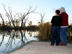 Kingston-On-Murray Caravan Park - Hervey Bay Accommodation 2