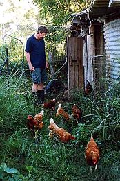 Lagoon Pocket Bed & Breakfast - Hervey Bay Accommodation 1