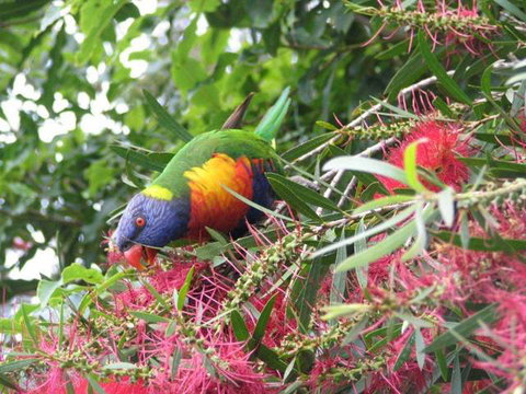 Lakesea Park - Hervey Bay Accommodation 1