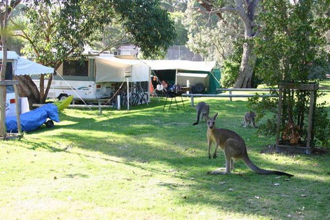 Lakesea Park - Hervey Bay Accommodation 8