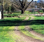 Mongans Bridge Camping Park - Tourism Hervey Bay