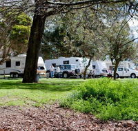 Moss Vale Village Caravan Park - Hervey Bay Accommodation