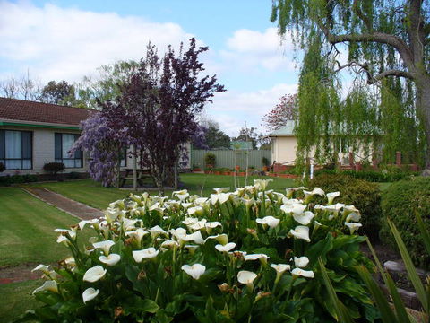 Mount Barker Valley Views Motel And Chalets - Hervey Bay Accommodation 1