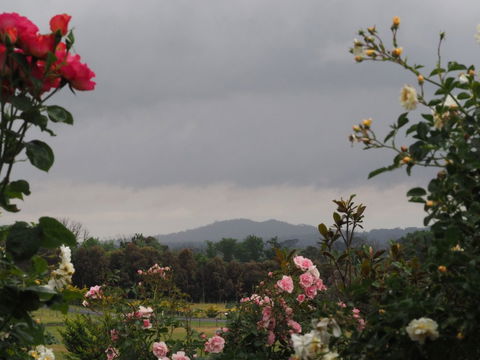 Myamba House Kyneton - Hervey Bay Accommodation 4