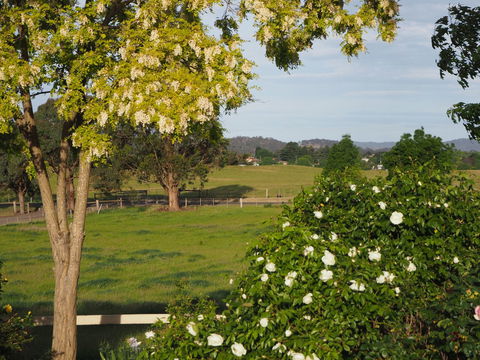 Myamba House Kyneton - Hervey Bay Accommodation 5