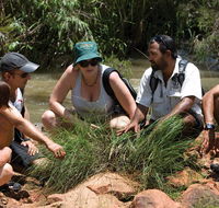 Nitmiluk Tours  Accommodation - Hervey Bay Accommodation