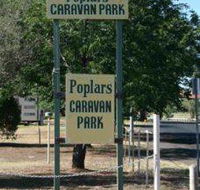 Poplars Caravan Park - Hervey Bay Accommodation