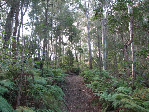 Maleny Country Cottages - Hervey Bay Accommodation 1