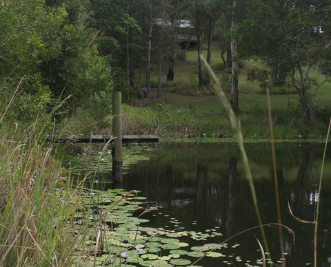 Maleny Country Cottages - Hervey Bay Accommodation 4