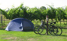 Active Holidays BIG4 Hunter Valley - Hervey Bay Accommodation 4