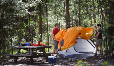 Bald Rock Campground And Picnic Area - Hervey Bay Accommodation 0