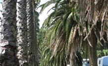 Barlings Beach Holiday Park - Hervey Bay Accommodation 2