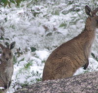 Barokee campground - Hervey Bay Accommodation