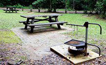 Gibraltar Range NSW Hervey Bay Accommodation
