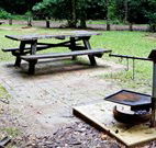 Bellbird campground - Hervey Bay Accommodation
