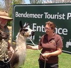 Bendemeer Tourist Park - Hervey Bay Accommodation
