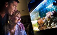 BIG4 Northstar Holiday Resort And Caravan Park - Hervey Bay Accommodation 4