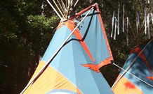 Kangy Angy NSW Tourism Hervey Bay