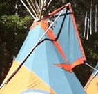 Central Coast Eco Tours - Tourism Hervey Bay