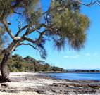 Currarong Beachside Holiday Park - Tourism Hervey Bay