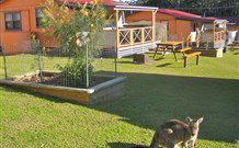 Durras Lake North Holiday Park - Hervey Bay Accommodation 1