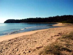 Seahorse Inn Hotel - Hervey Bay Accommodation 4
