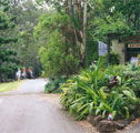 Tamborine Mountain Caravan  Camping - Tourism Hervey Bay
