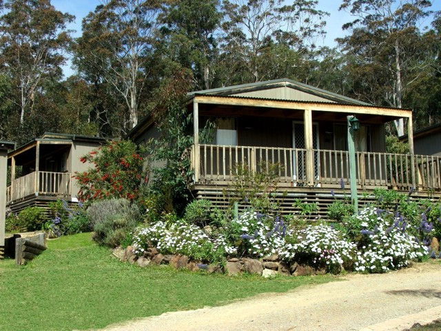 Mogo NSW Tourism Hervey Bay