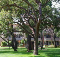 Trinity - Hervey Bay Accommodation
